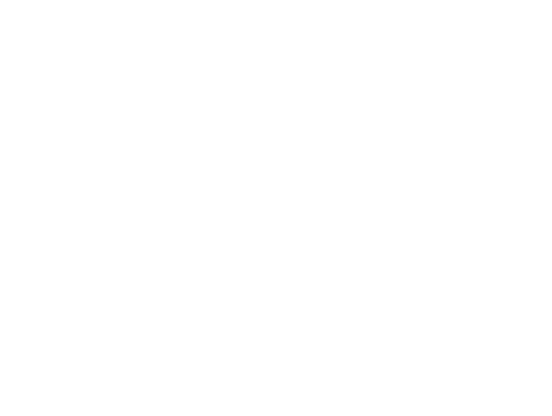 DS Music
